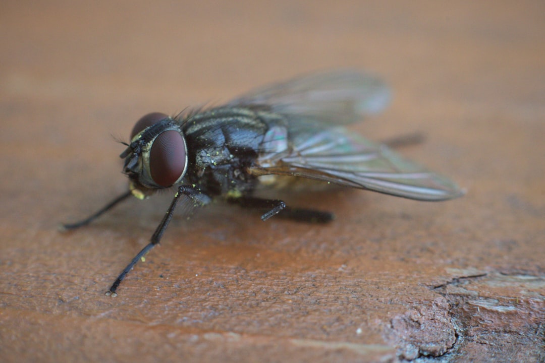 New Crackdown: Fly-Tippers Face Community Service Clearing Their Own Illegally Dumped Waste
