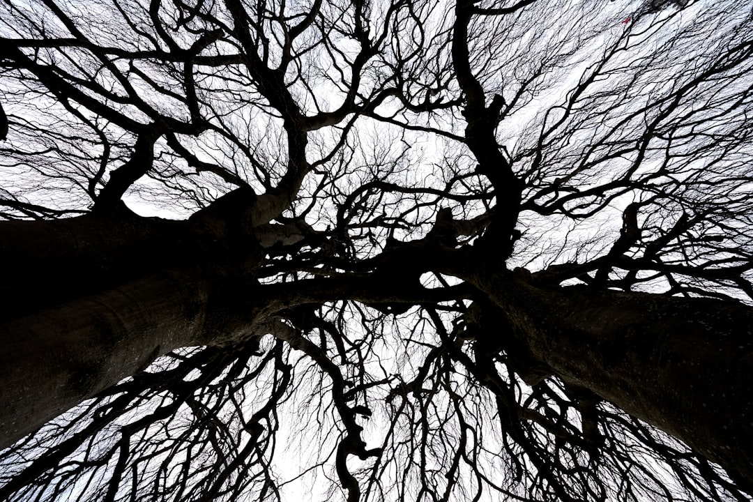 Unraveling Well-being: The Profound Mental and Physical Benefits of Knitting