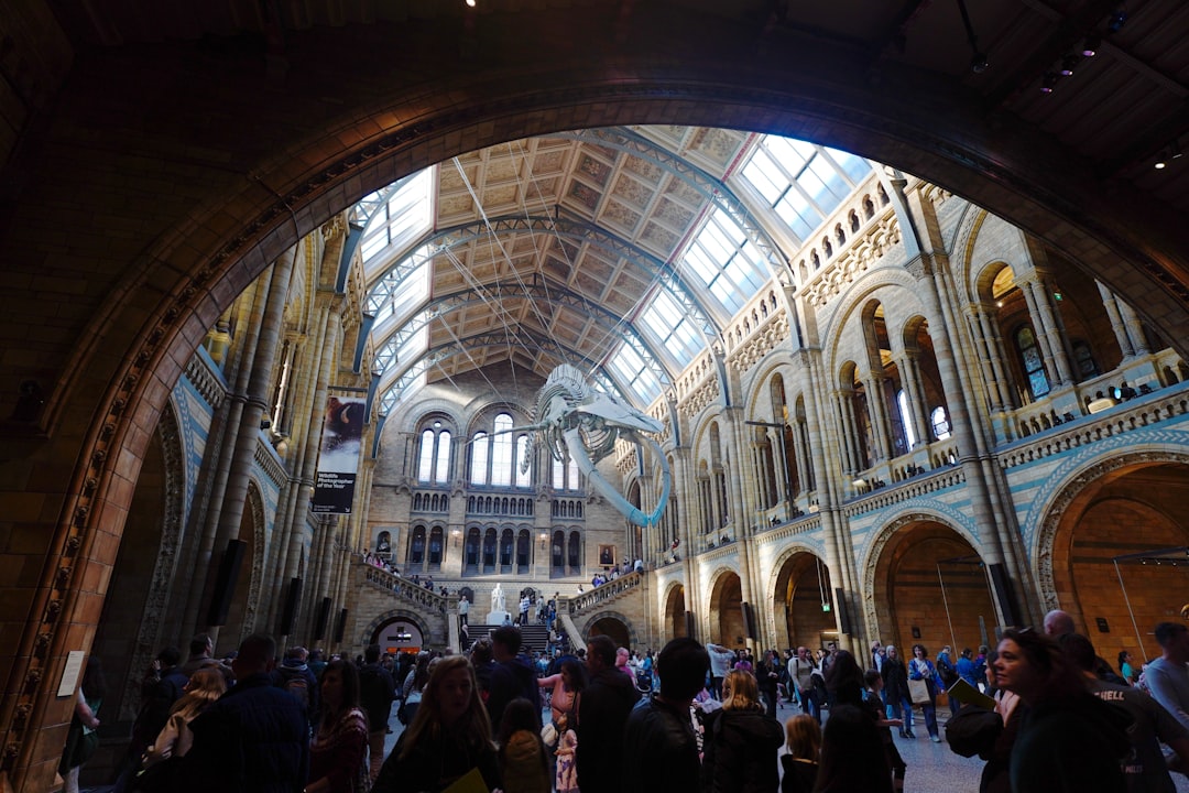 Natural History Museum Claims UK's Top Tourist Attraction Title, Sets New Visitor Record